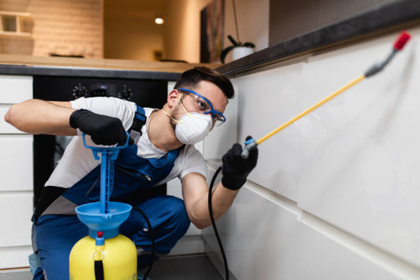 Best Pest Removal Services  in Dallas, GA