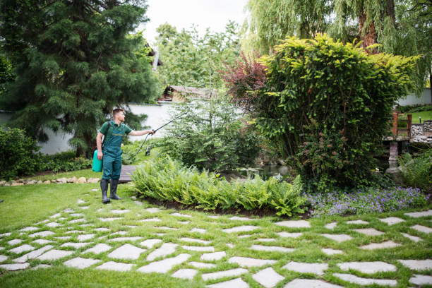 Best Pest Prevention Services  in Dallas, GA