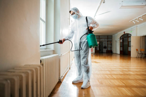 Best Local Pest Control Services  in Dallas, GA