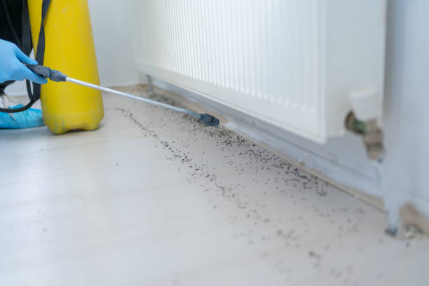Best Exterminator Services  in Dallas, GA